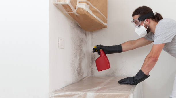 Professional Attic Mold Removal technician working in Perth Amboy, NJ
