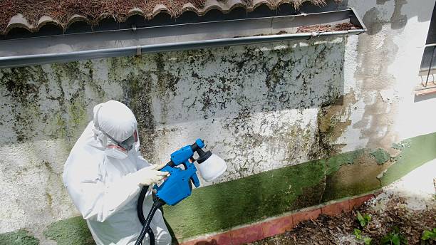 Top rated local Attic Mold Removal specialists in Perth Amboy, NJ